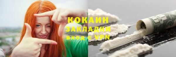 твердый Кропоткин