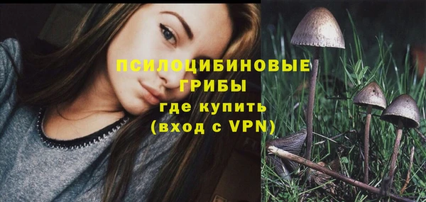 стафф Зеленодольск